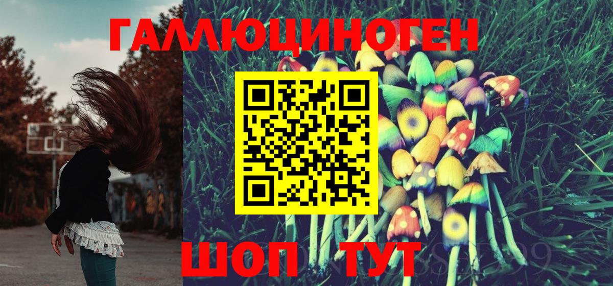 Оренбург  Галлюциногенные грибы прущие грибы  Вход с VPN  Псилоцибиновые грибы MAGIC MUSHROOMS 